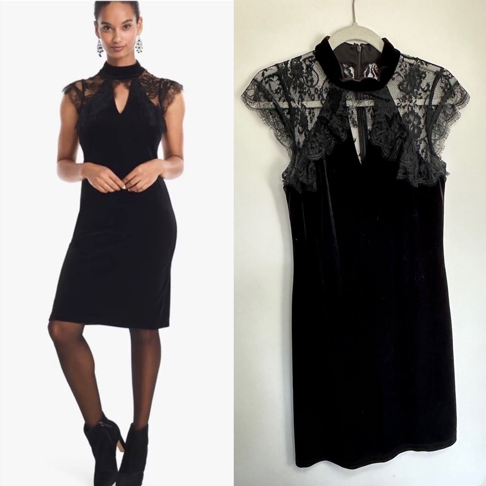 White House Black Market velvet lace shift dress w/ cap sleeve